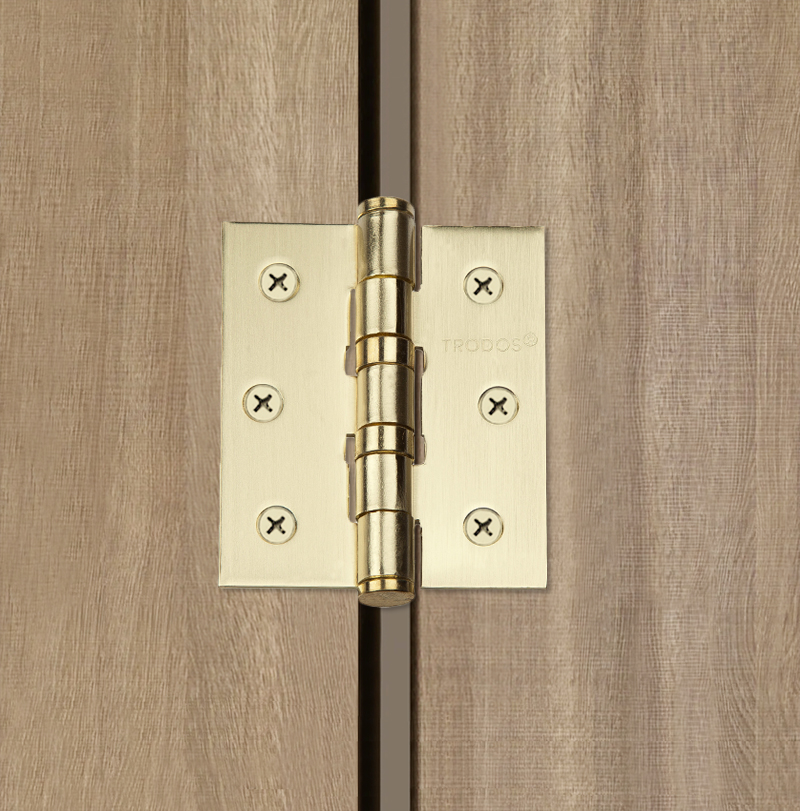Петля накладная Trodos 75х62х2,5 SB золото матовый
