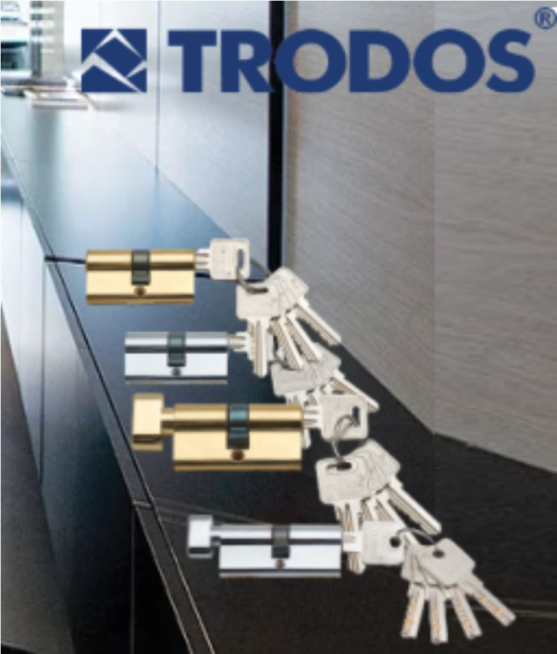 Механизм цилиндровый Trodos ЦМ 60(30/30) латунь 5 ключей, золото, блистер