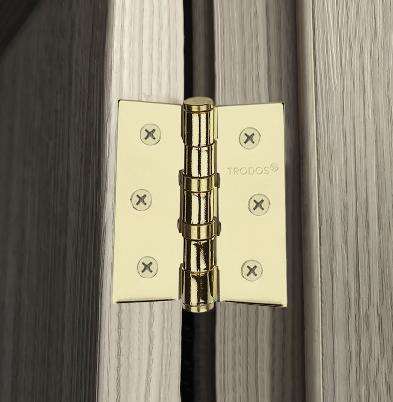 Петля накладная Trodos 75х62х2,5 GP золото