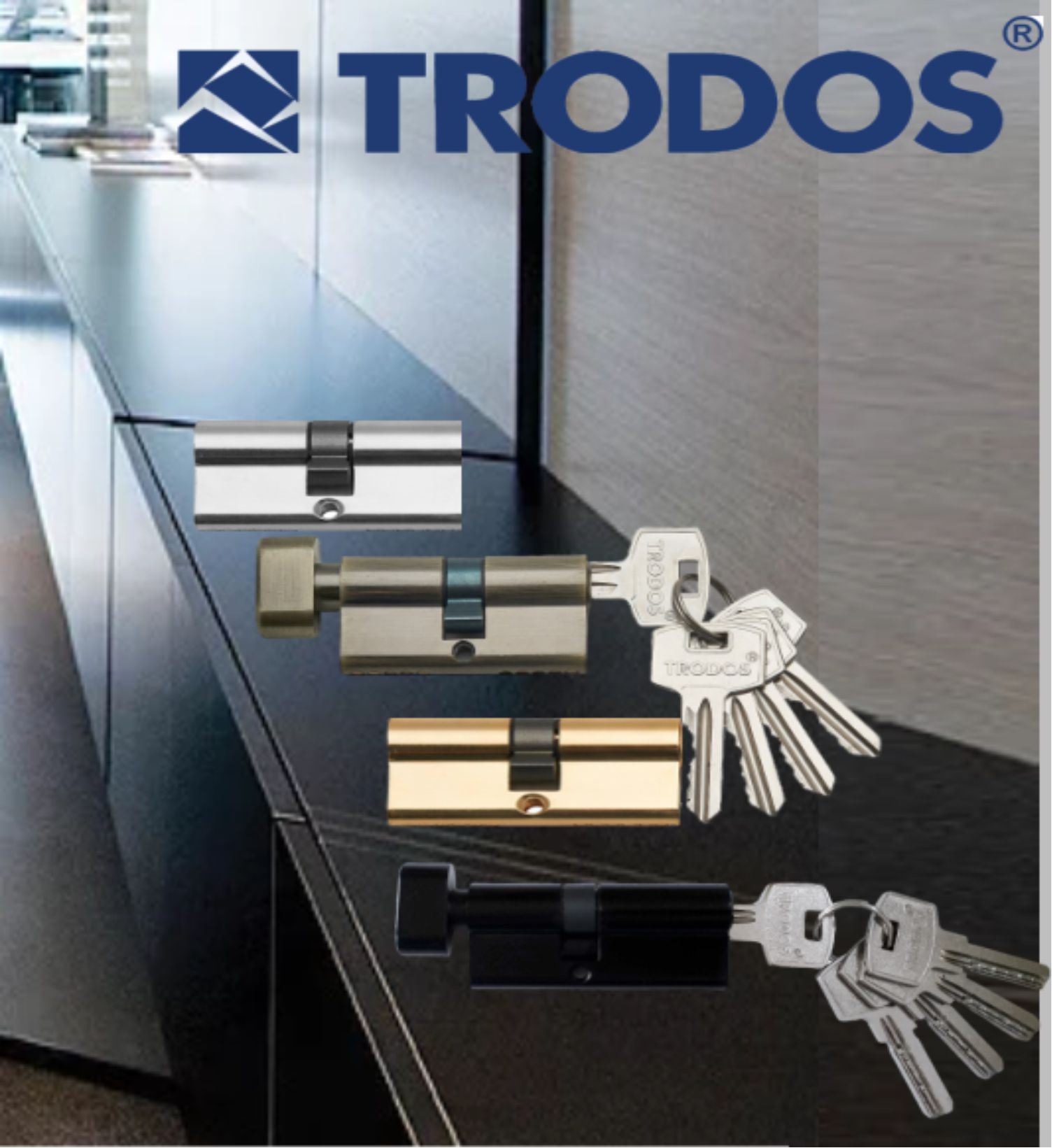 Механизм цилиндровый Trodos ЦМП 100(50/50) сплав ЦАМ 5 ключей, черный 