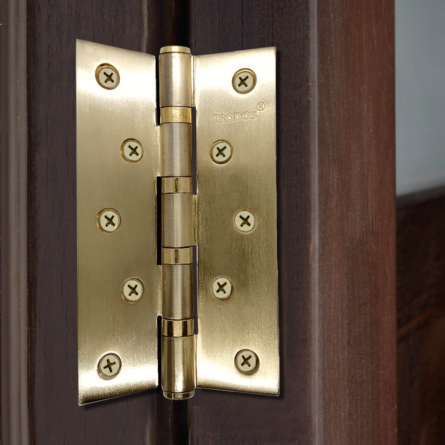 Петля накладная Trodos 125х75х2,5 SB золото матовый