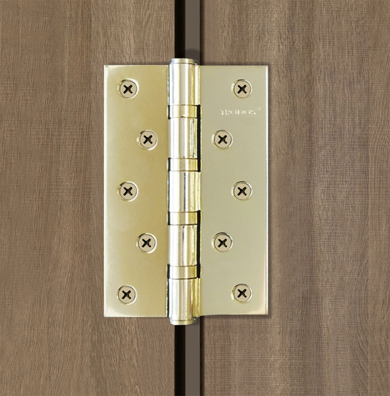 Петля накладная Trodos 125х75х2,5 GP золото